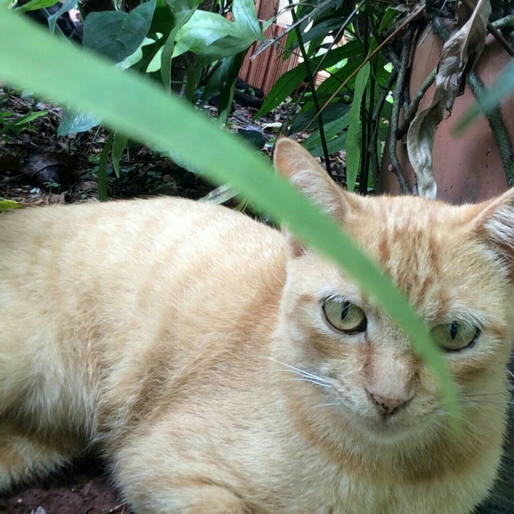 Bob