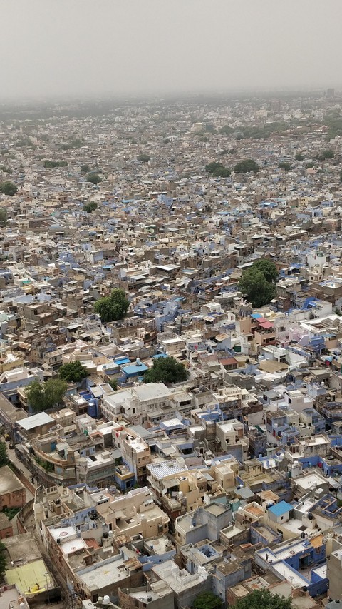 Jodhpur