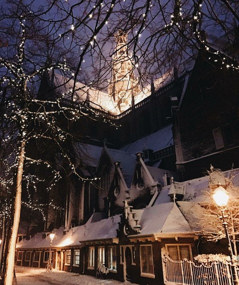 night view