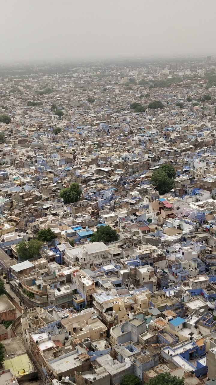 Jodhpur