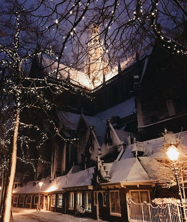 night view