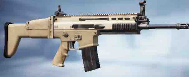 gun