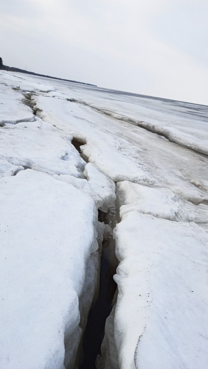 Финский залив