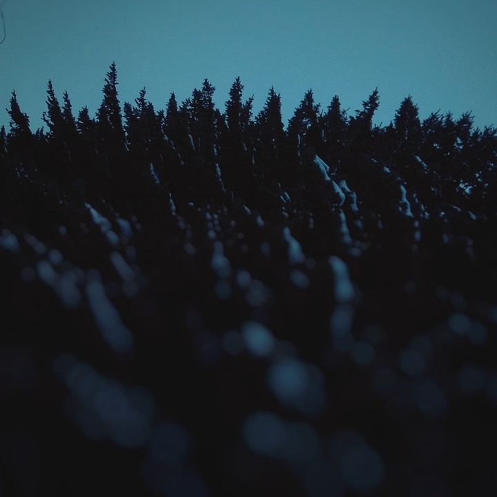 dark days