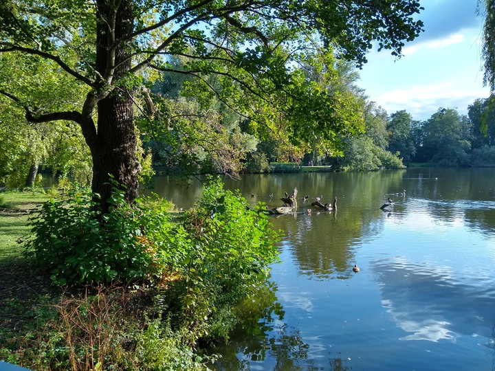 Georgengarten, Hannover