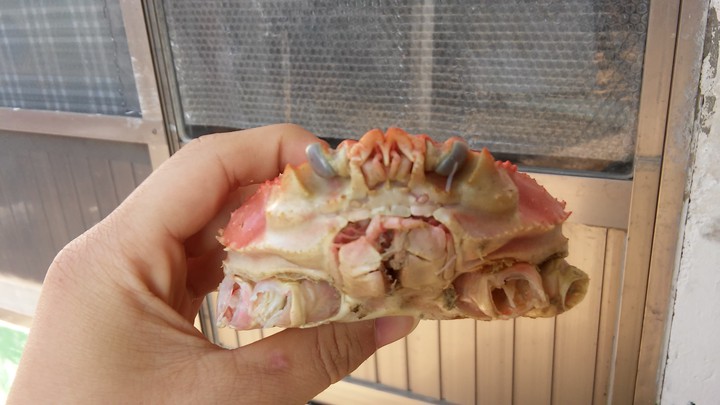 다리가 없는 대게
