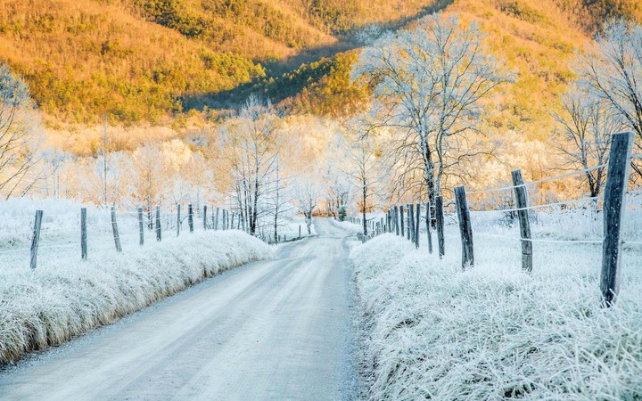 White road