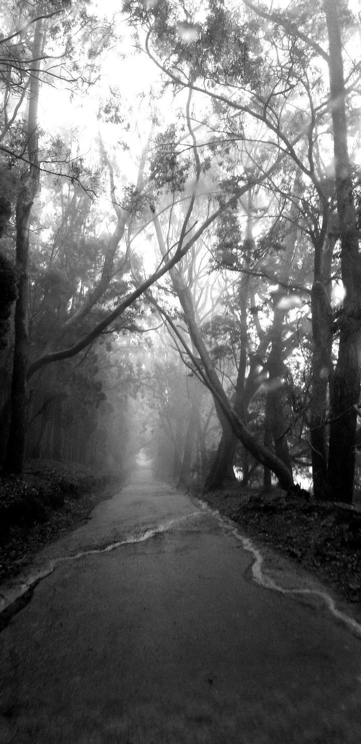 Enroute Coonoor