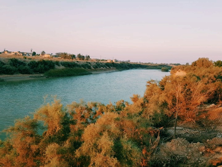 Venus River