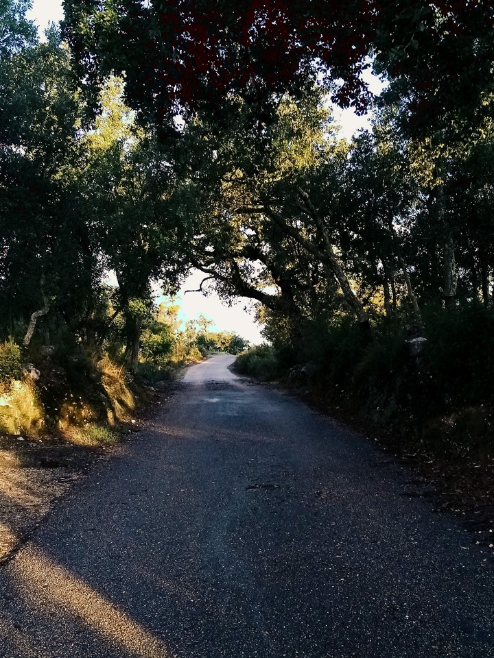 road