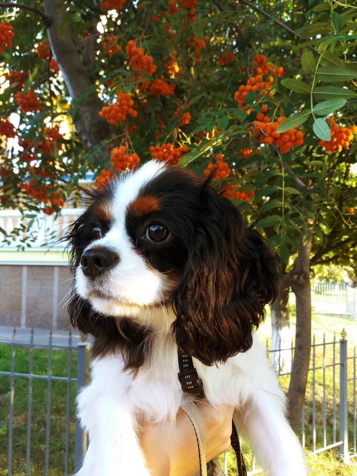 ♥️