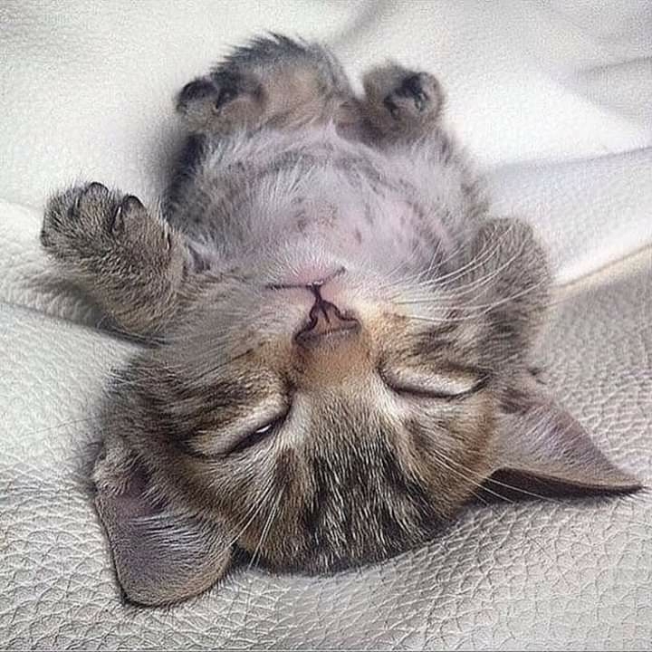?❤