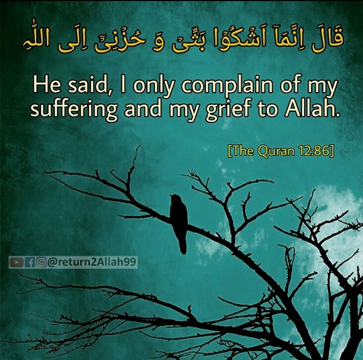 Return to Allah