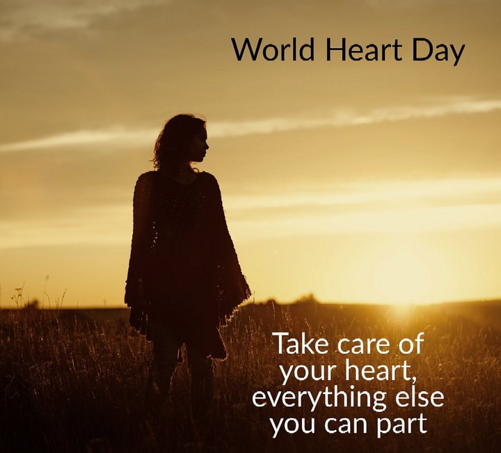 World Heart Day ♡