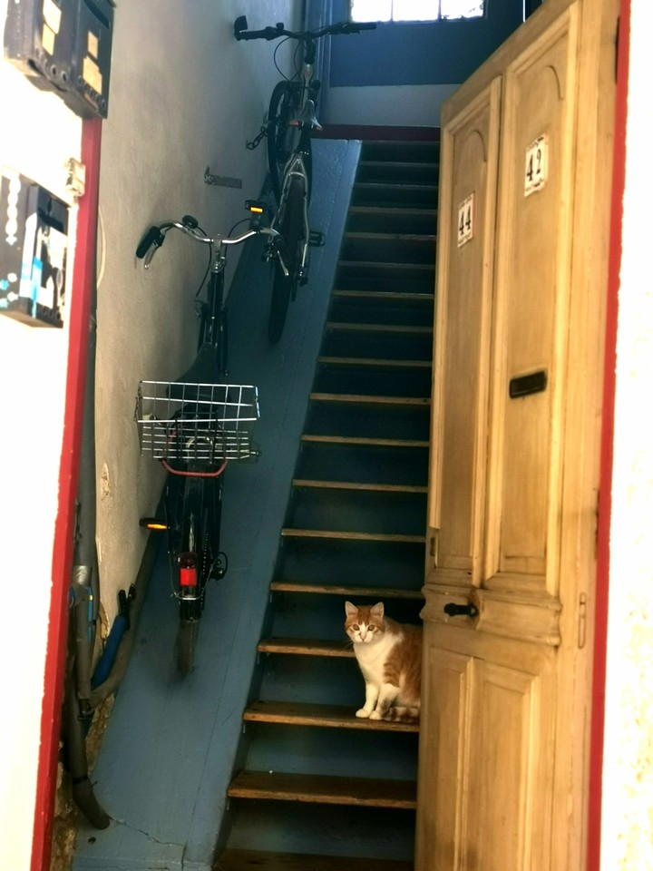 Cage d'escaliers