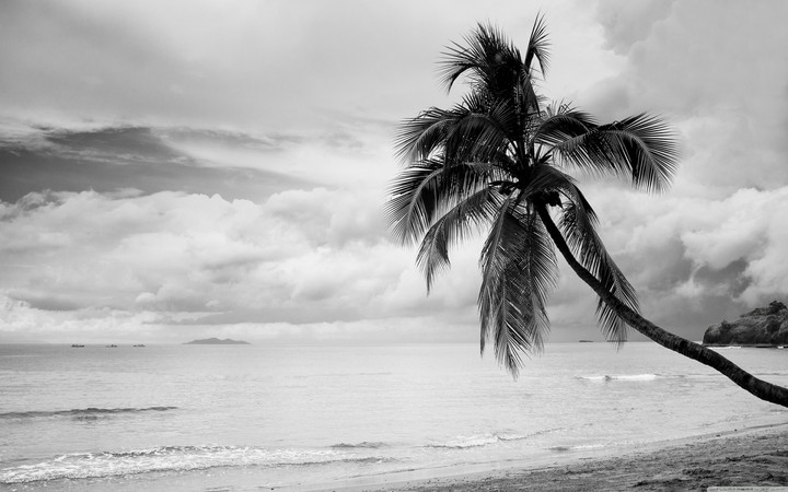 Beautiful beach