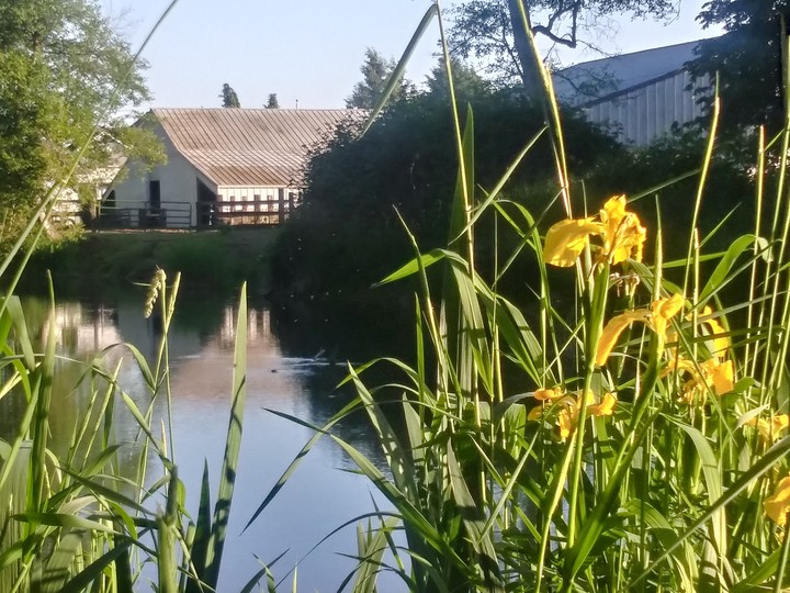 beautiful spring day