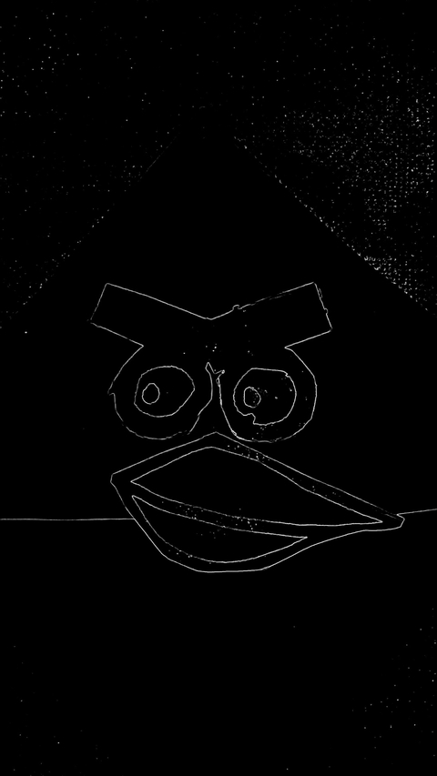 angry bird
