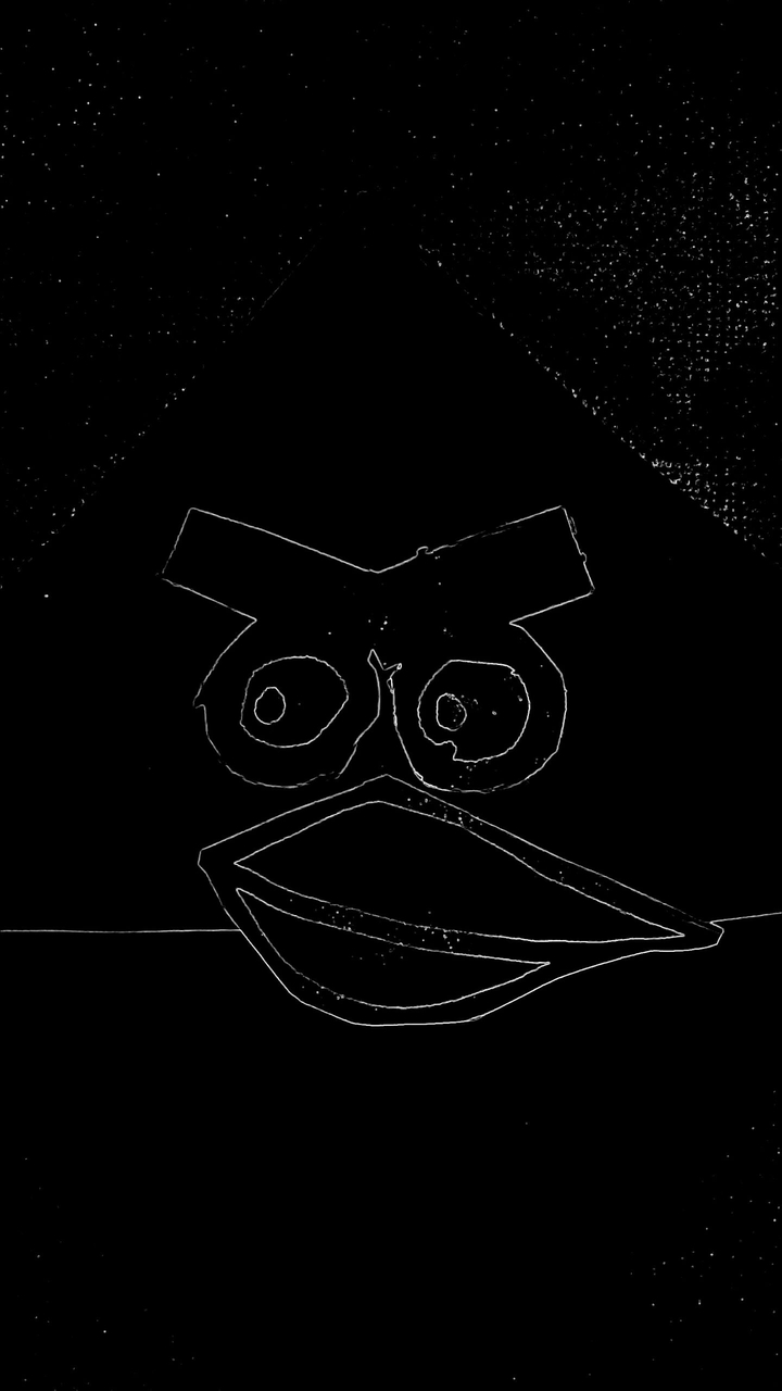angry bird