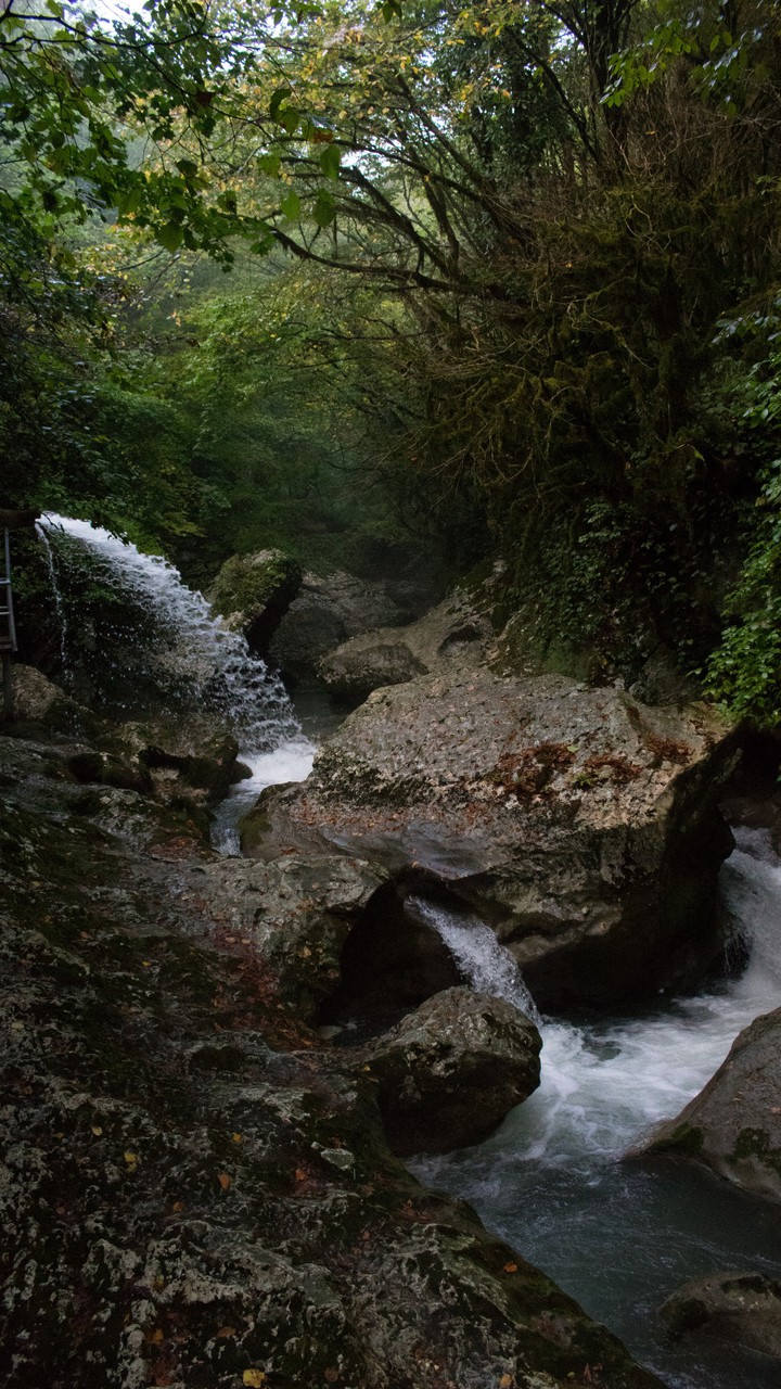 Nature