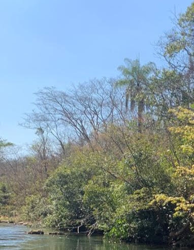 a natureza transforma a humanidade.