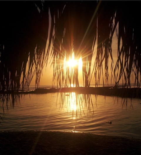 A Mirror full of Water!