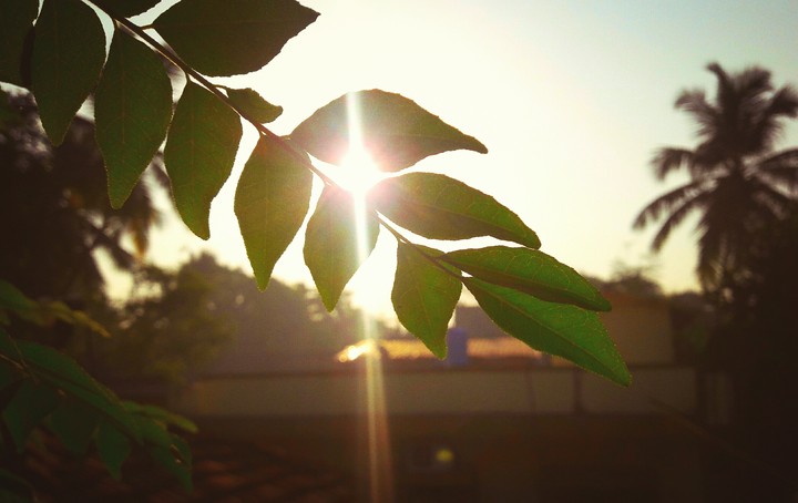 #Healthy_Morning