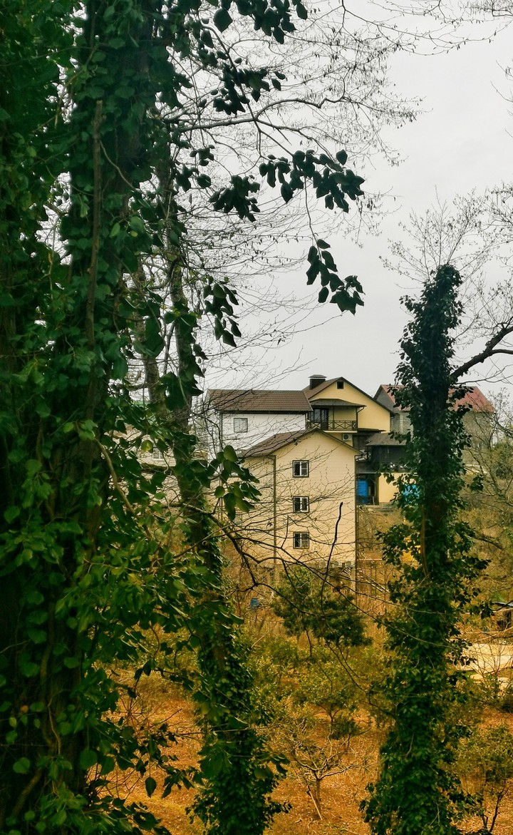 my house