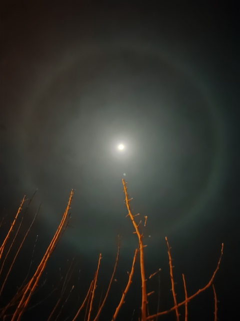 papéis de parede iran, moonlight