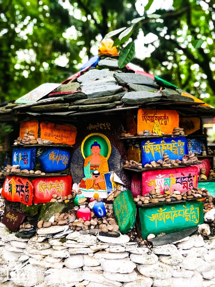Buddha