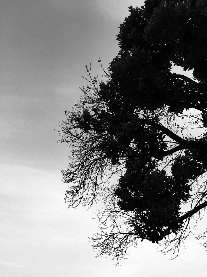 blackwhite