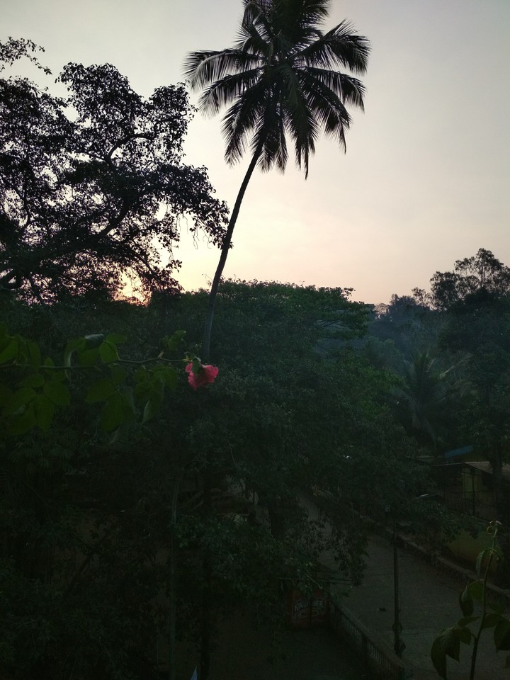 Good morning