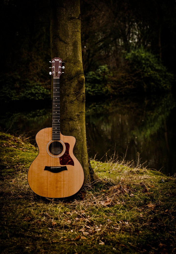 Guitar