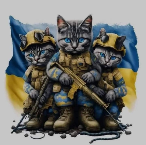 firearm, cat वॉलपेपर