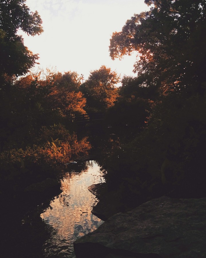 Very calm Fall colors