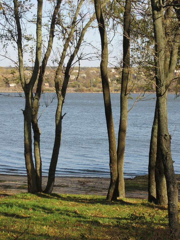 Coast