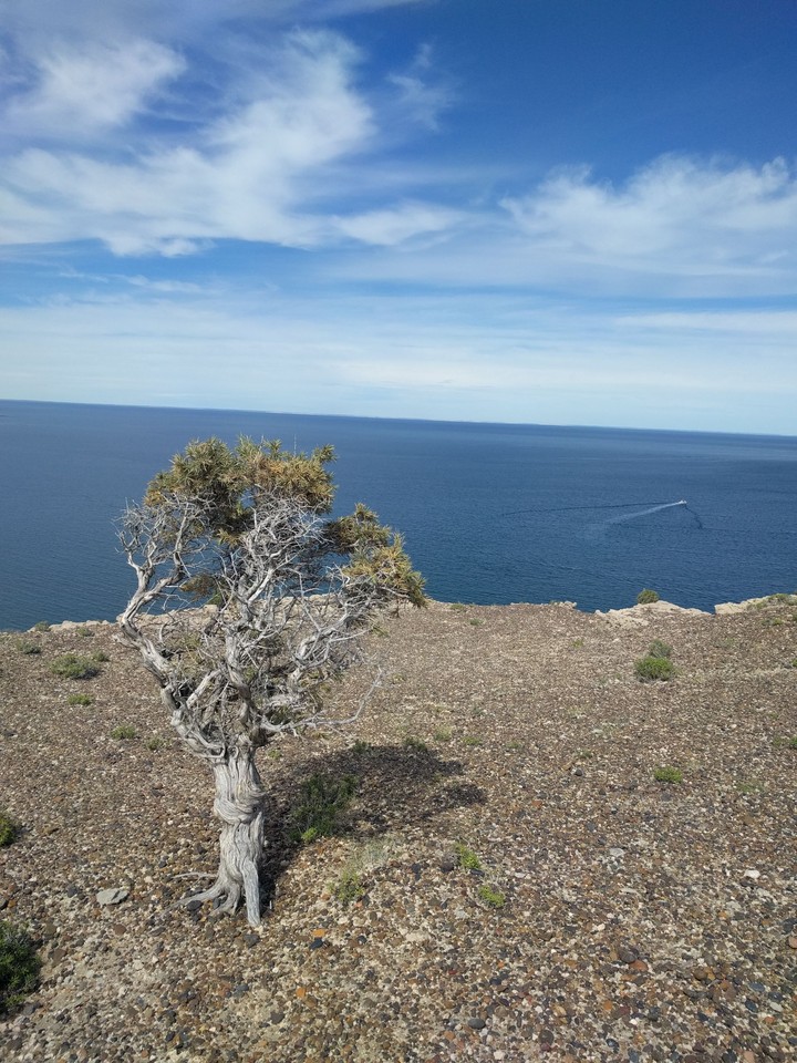 Puerto Madryn