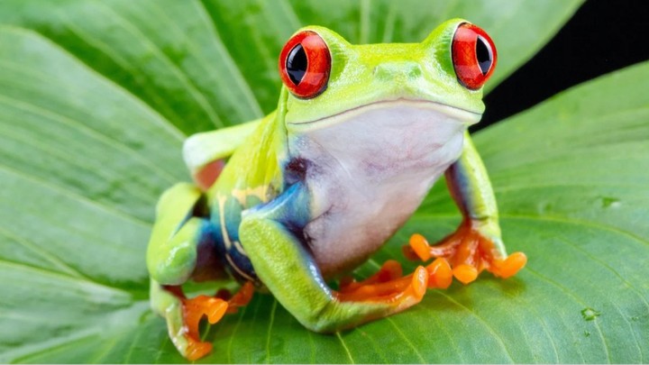 ○Well hi there!○