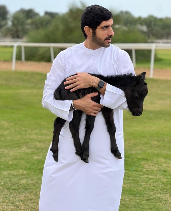 احب ورعاية الحيوانات