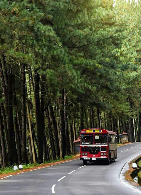 Beautiful View ....