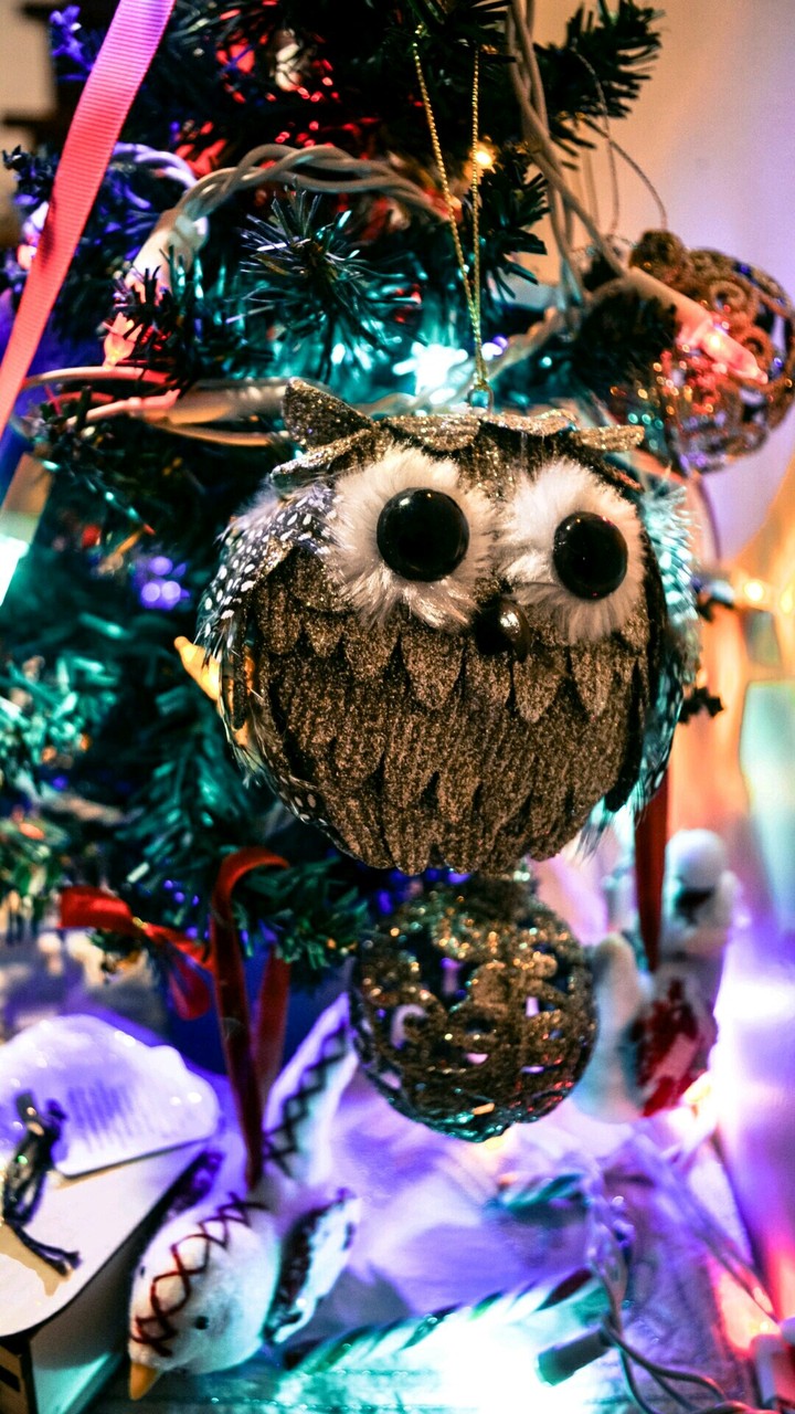 Christmas decoration❤