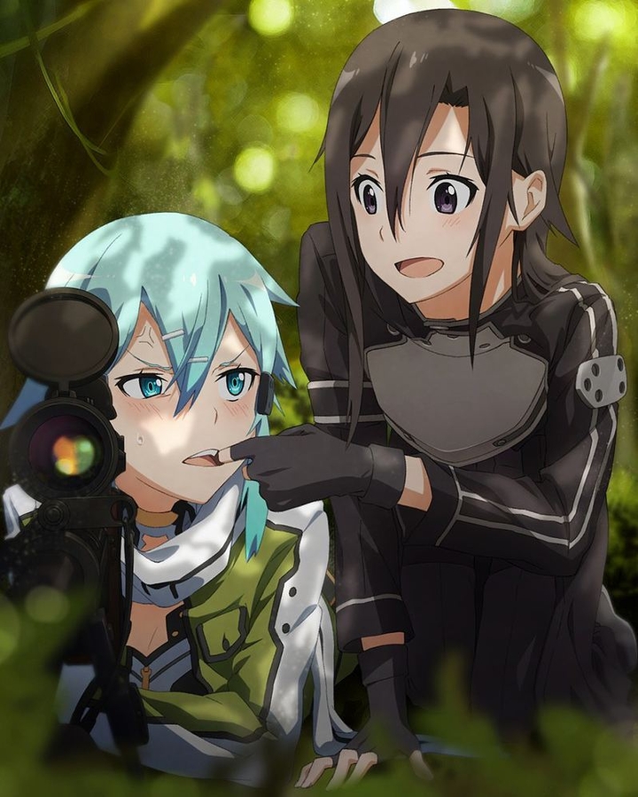 Anime: Sword Art Online