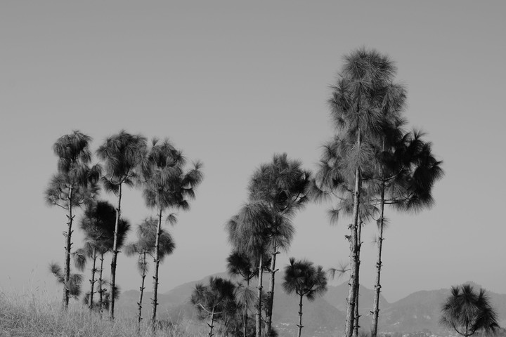 Sanjay rawat photography Nikon D5200