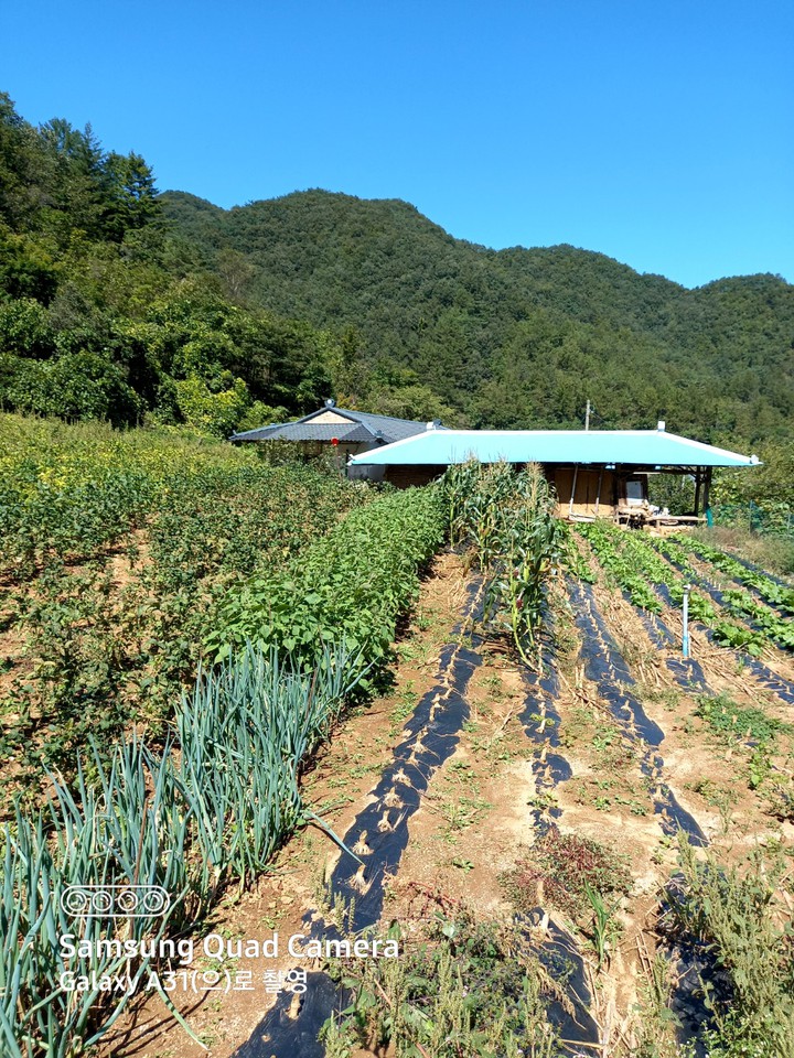 고향 친구네 집