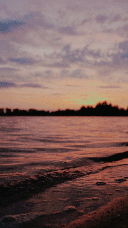 WAVE