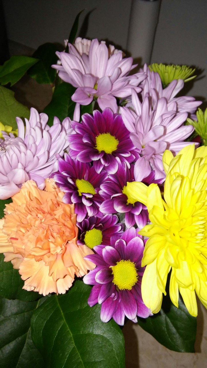 bright colors flowers