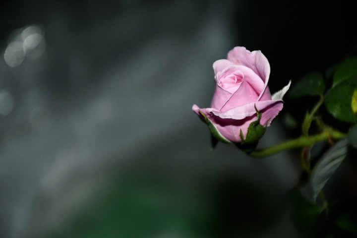 young and beautiful
