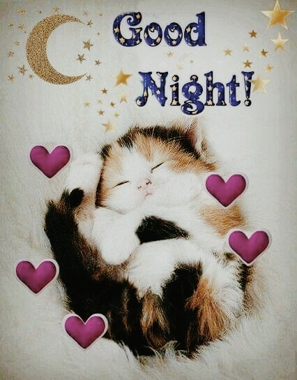 Good Night  Tuesday