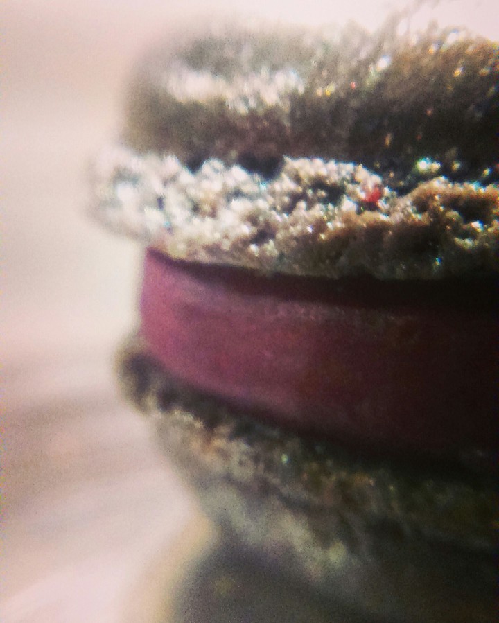 macaron