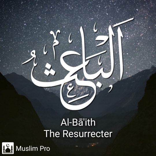 the Resurrecter